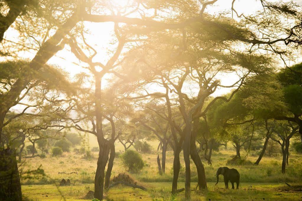 Sanctuary Swala Hotel Babati Eksteriør billede